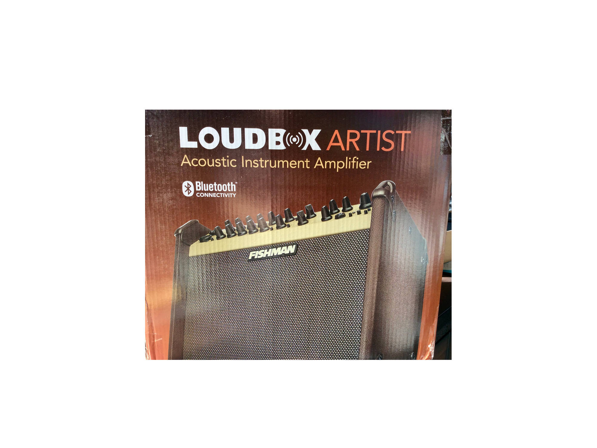 loudbox acoustic instrument amplifier