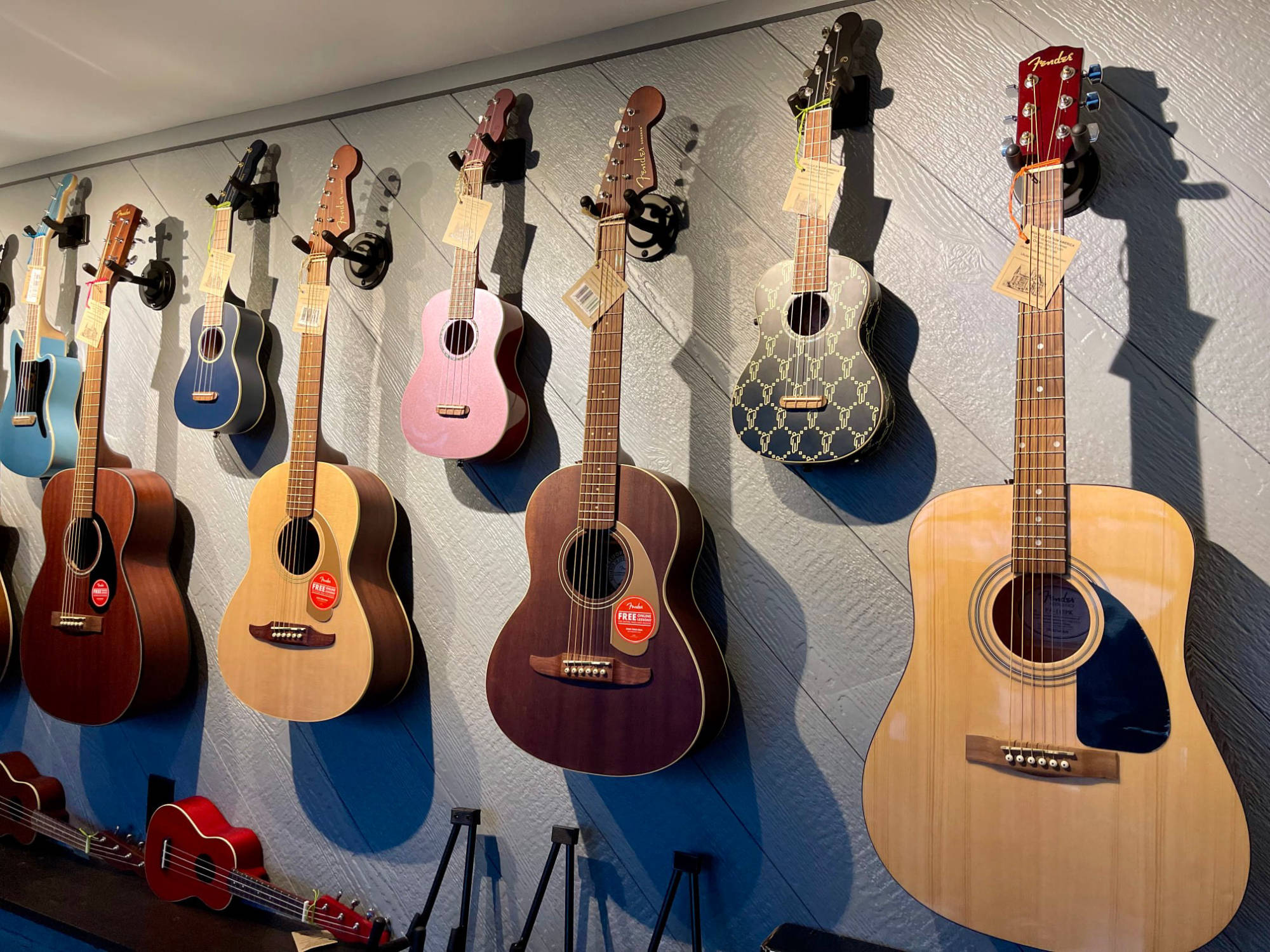 acoustic guitars & ukuleles
